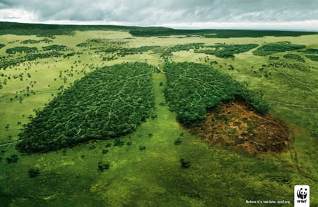 Di impatto questa immagine del WWF, che evidenzia come le foreste siano il "polmone verde" del pianeta, e come la deforestazione comporti dei pericoli.