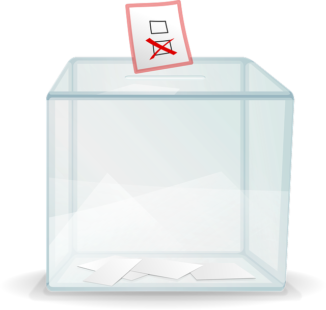 elezioni