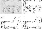 Disegno errato di Leonardo da Vinci - (Cavemen were better at depicting quadruped walking than modern artists: erroneous walking illustrations in the fine arts from prehistory to today. Horvath G, Farkas E, Boncz I, Blaho M, Kriska G.)