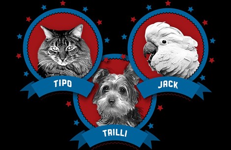 previsioni animali per le elezioni 2013