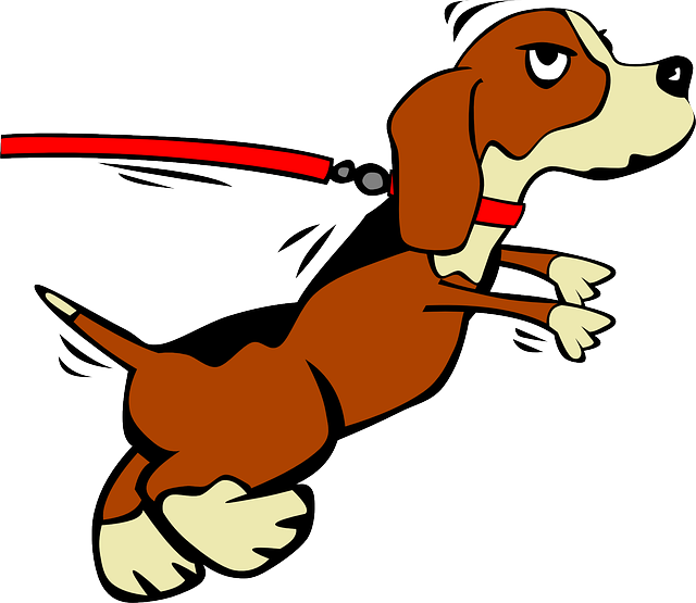 un buon cane vi impedirà anche di rubare
