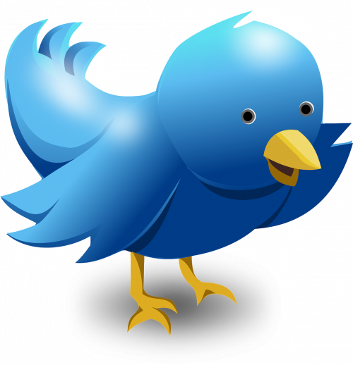 twitter è utile ma a volte abusato