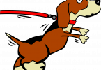 una cane emulo di houdini