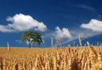 una bella giornata di sole in ottobre può essere un buon motivo per chiudere la scuola