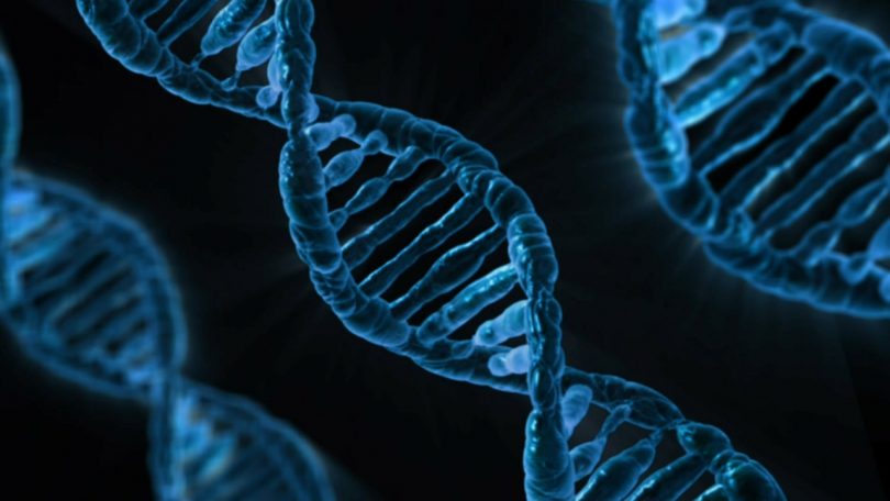 una rappresentazione del dna