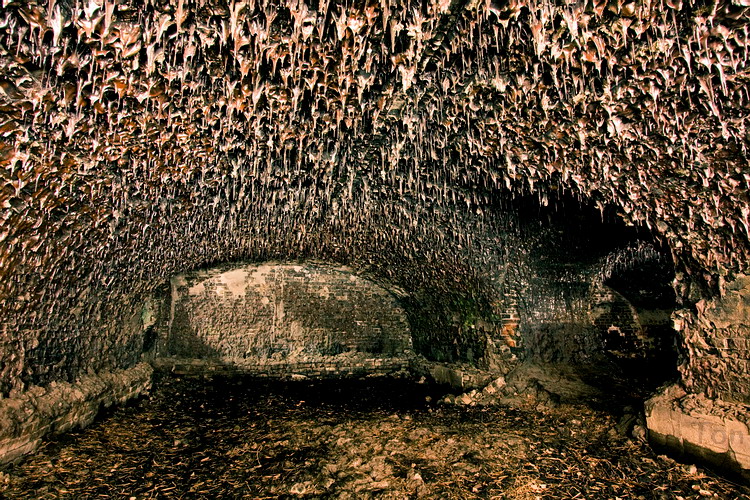 un altra vista della caverna