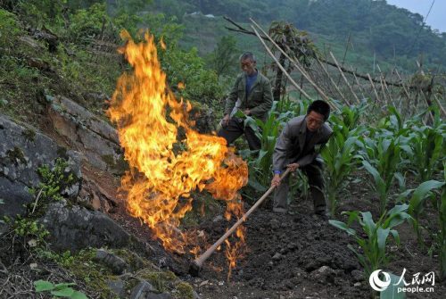 il gas prende spontaneamente fuoco