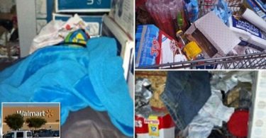 i due ripari costruiti dal ragazzino