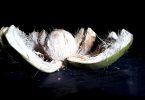 una noce di cocco