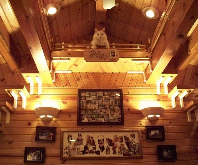 la casa di Greg Krueger