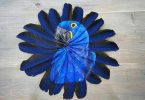 piume dipinte 1