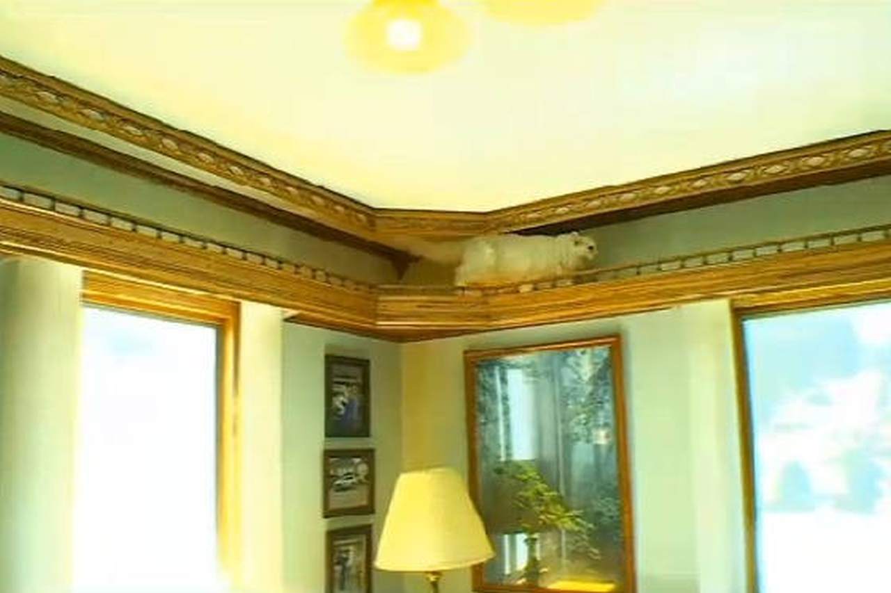 un altro particolare della casa di Greg Krueger