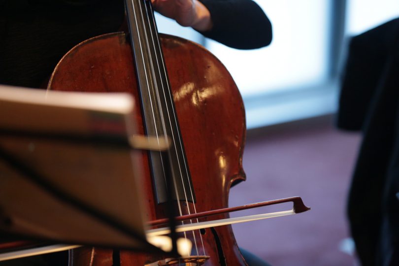 violoncello
